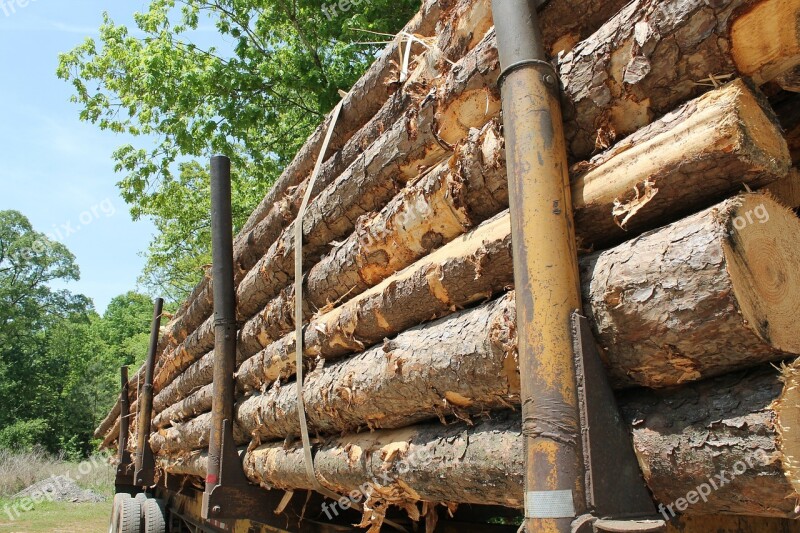 Lumber Trailer Wood Tree Trunk