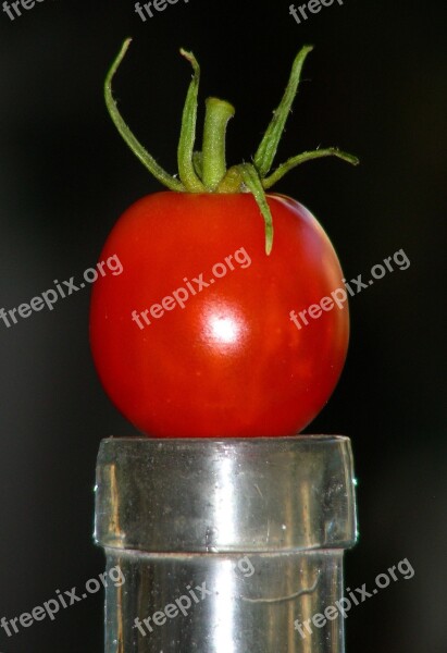 Tomato Fruit Vegetables Free Photos