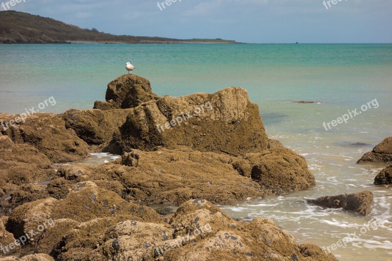 Sea Coast Cornwall Rocky Coast Water