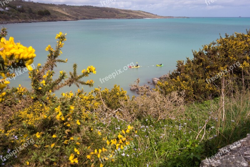 Sea Coast Cornwall Rocky Coast Water