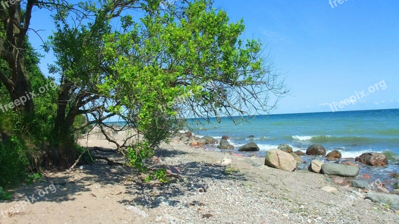 Baltic Sea Beach Coast Sea Free Photos