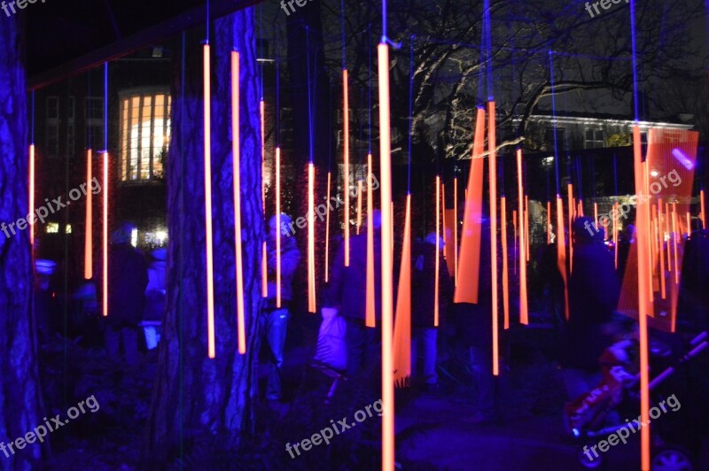 Amsterdam Light Festival Art Park Night