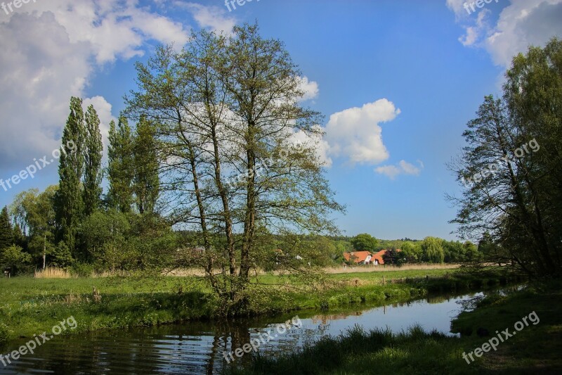 Landscape Sky Clouds Plant Nature