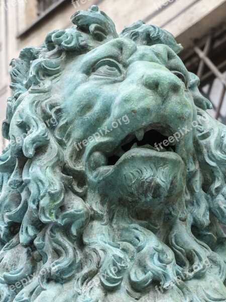 Lion Statue Head Sculpture Munich