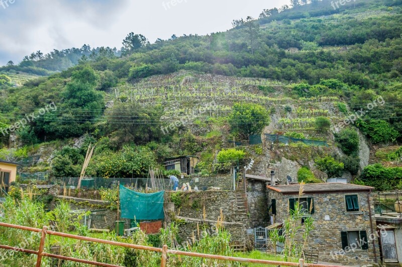 Cinque Terre Italy Amalfi Coast Rural Nature