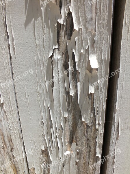 Paint Peel Peeling Paint Old Wood