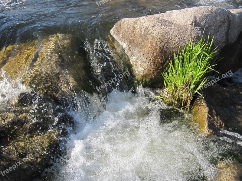 Strudel Bach Water Schlücht Gurtweil