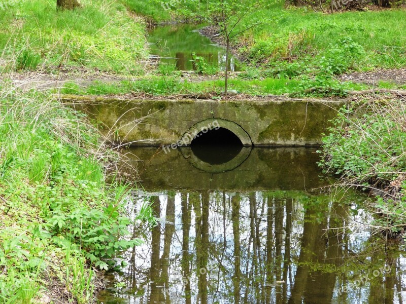 Brook Stream The Brook River Water