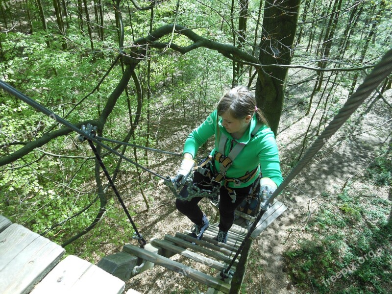 Climbing Forest Aachen Trees Hobby Holidays