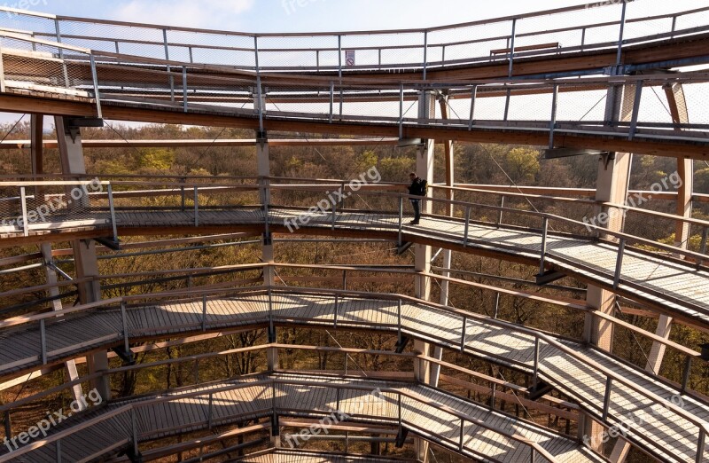 Tree Trail Construction Observation Tower Platform Upward