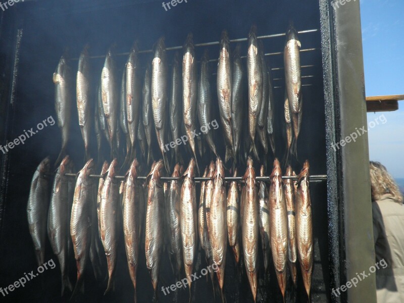 Herring Fischraeucherei Fish Food Fish In The Smoke