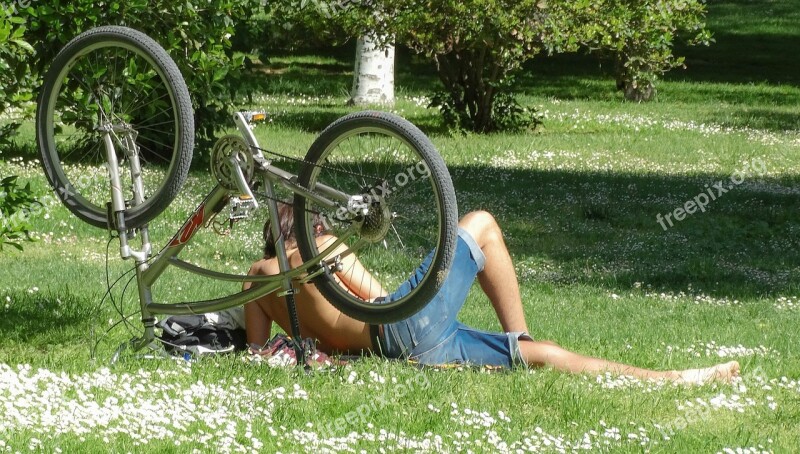 Bicycle Cyclist Rest Tree Bike