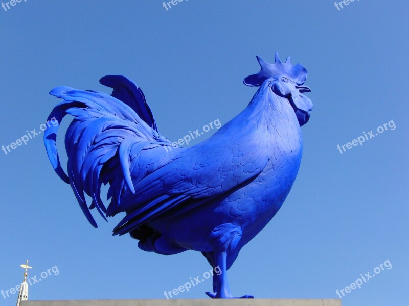 Hahn Blue Rooster British Figure Bird