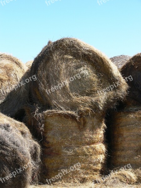 Haystacks Montana Hay Farm Farmland