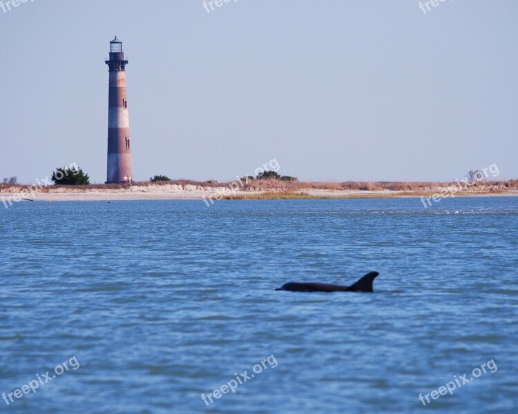 Morris Island Dolphin Lighthouse Ocean Sea