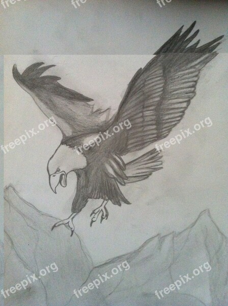 Eagle Charcoal Drawing Pencil Drawing Drawing Bird Of Prey