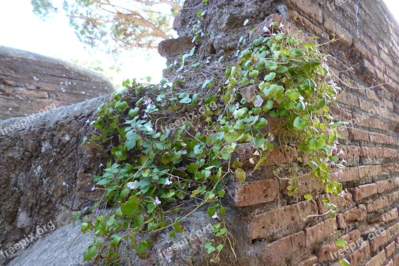 Ostia Antica Italy Archaeological Site Ruins