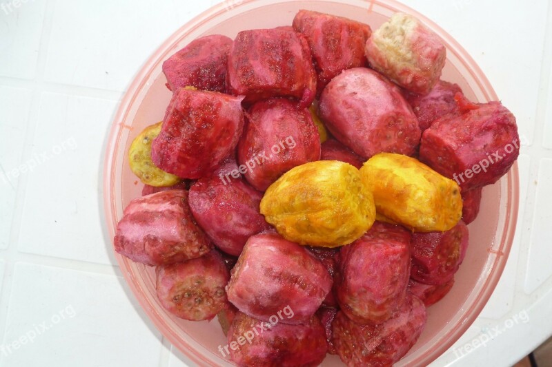 Prickly Pears Salento Puglia Free Photos