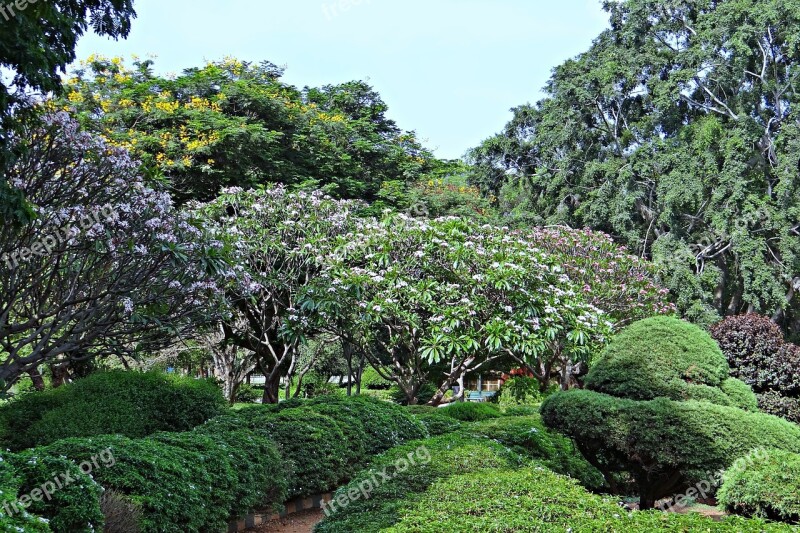 Botanical Garden Lal Bagh Park Garden Greenery