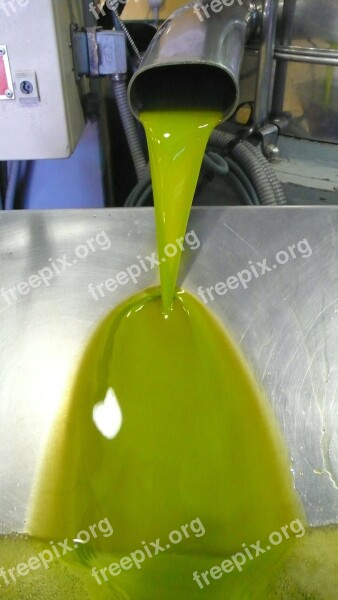 Oil First Pressure Olive Fruit Nature