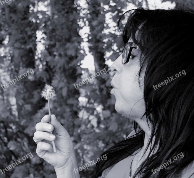 Dandelion Woman Blow Profile Person