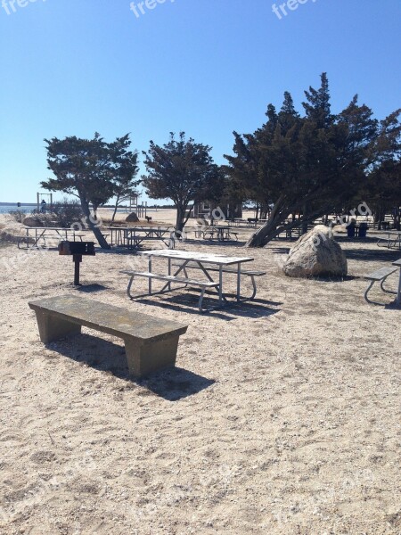 Beach Sea Picnic Water Vacation