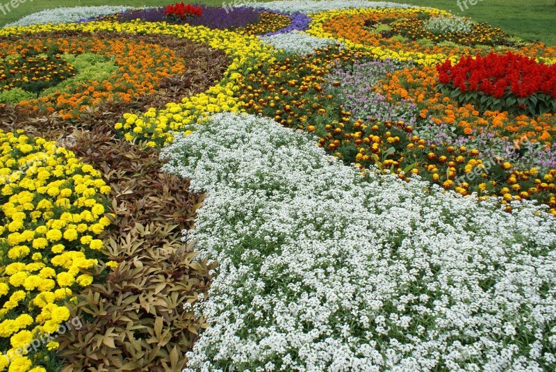 State Garden Show Flowers Free Photos