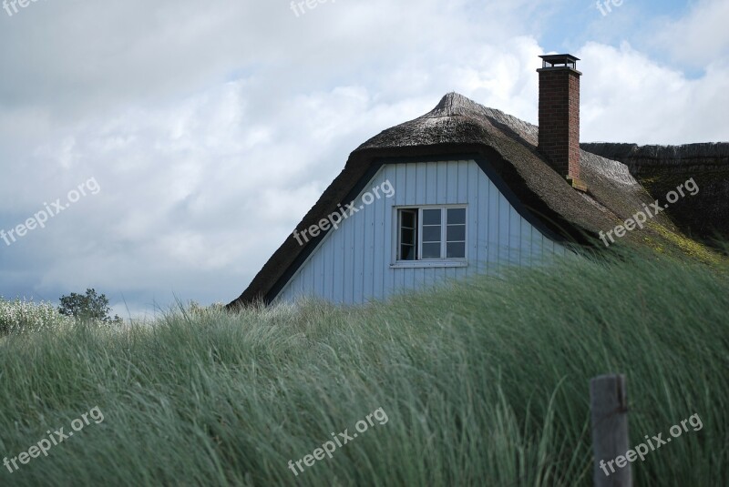 Baltic Sea Reed Roof Coast Sea Darß