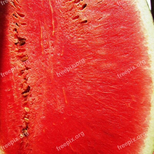 Watermelon Melon Citrullus Lanatus Red Fruit