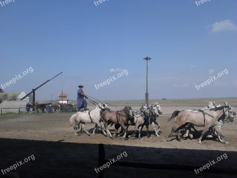 Hungary Great Plains Horse Show Free Photos