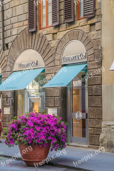 Florence Italy Flowers Pink Shopping