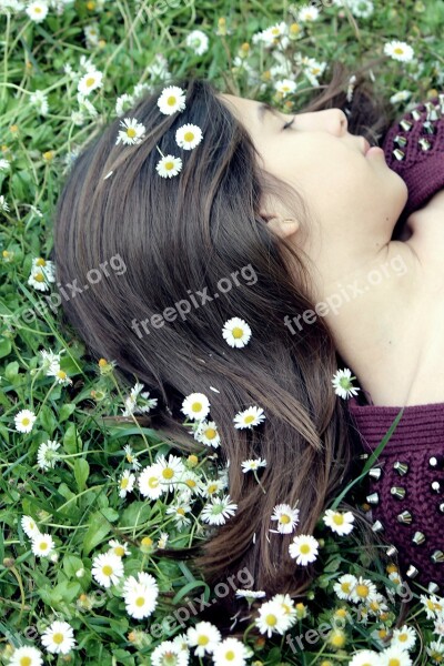 Flowers Martgherite Girl Woman Face