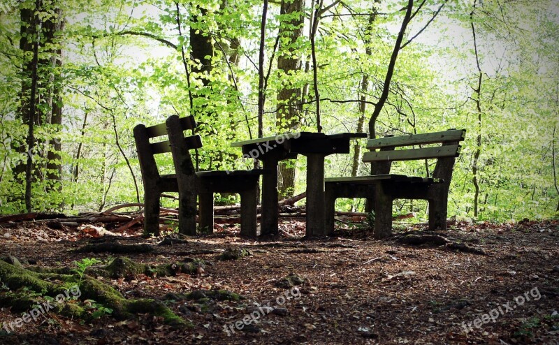 Seating Arrangement Nature Resting Place Rest Forest