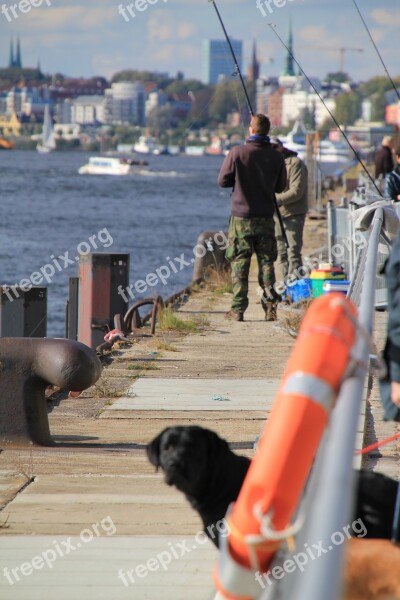 Hamburg Water Angler Fish Dog