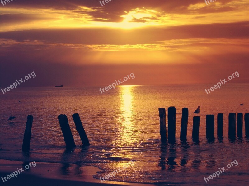 Sea Landscape Sunset The Sun Dark