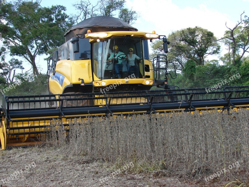 Plantation Soybeans Harvest Agricultural Machine Grains