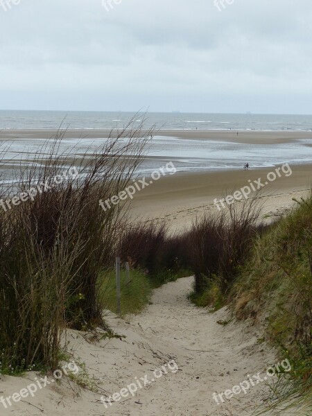 Island East Frisia Coast Sea Breeze