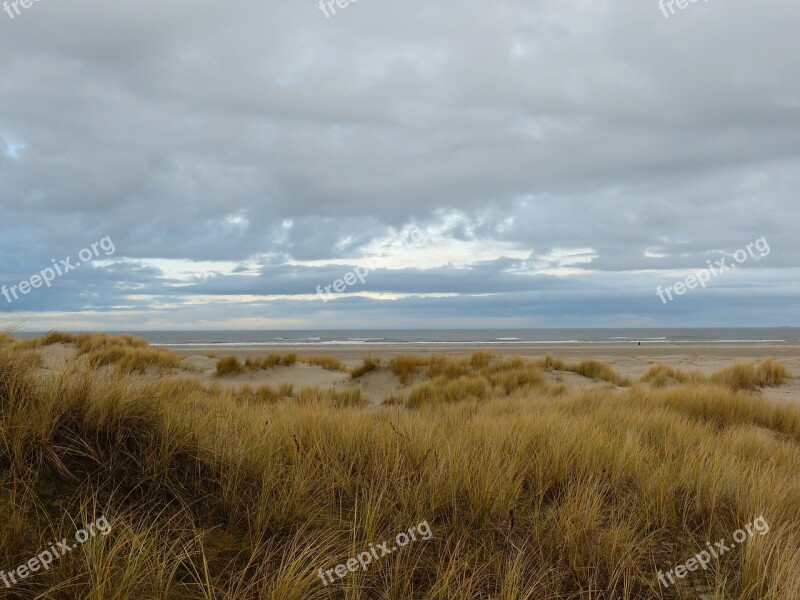 Island East Frisia Coast Sea Breeze