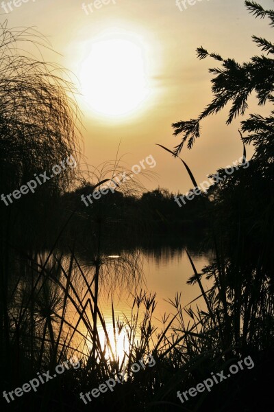 Sunset Over Pond Pond Water Sunset Sun