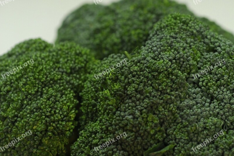 Broccoli Nature Garden Salad Vegetable