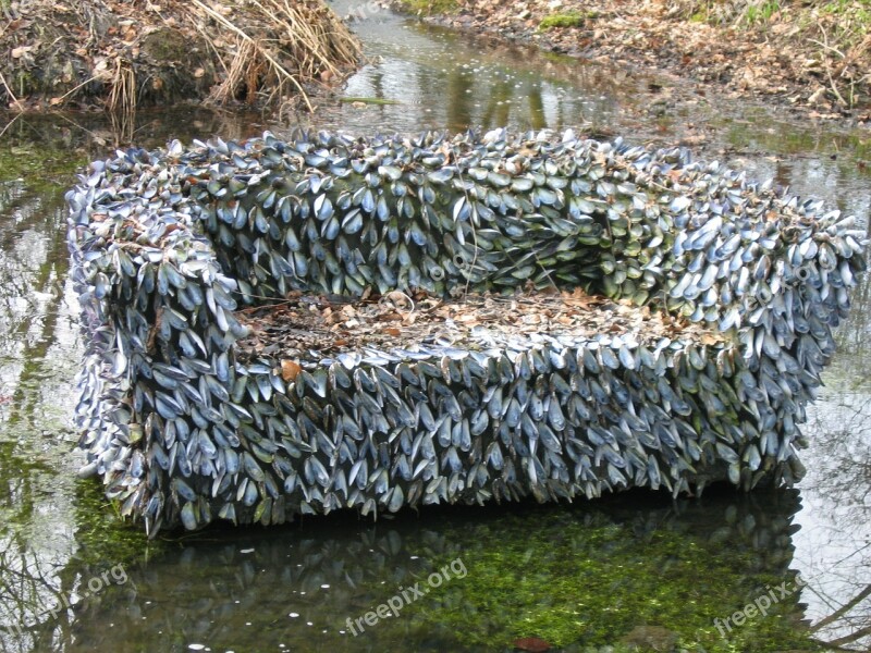 Bank Sit Water Mussels Rest