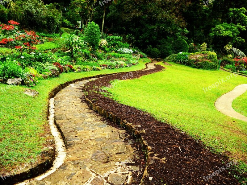 Walkway Footpath Sri Lanka Green Grass