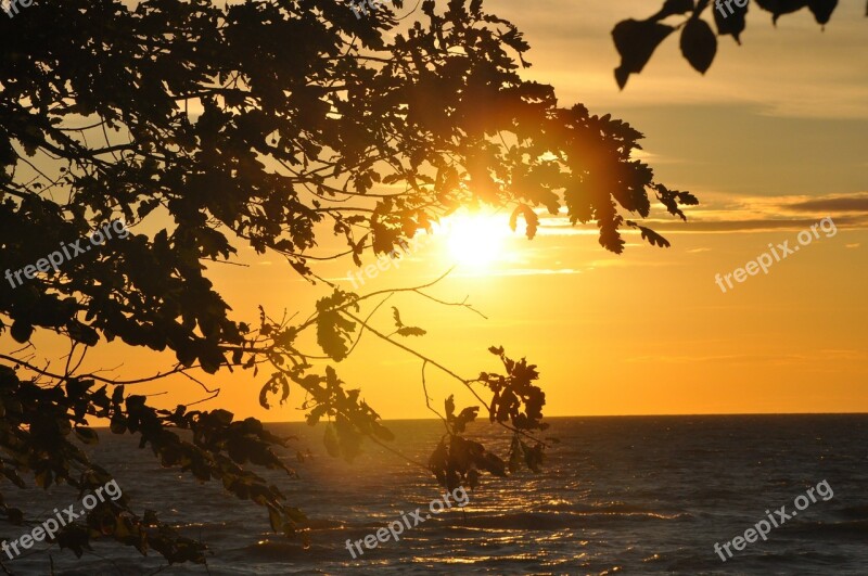 Sunset Can Branches Yellow Summer