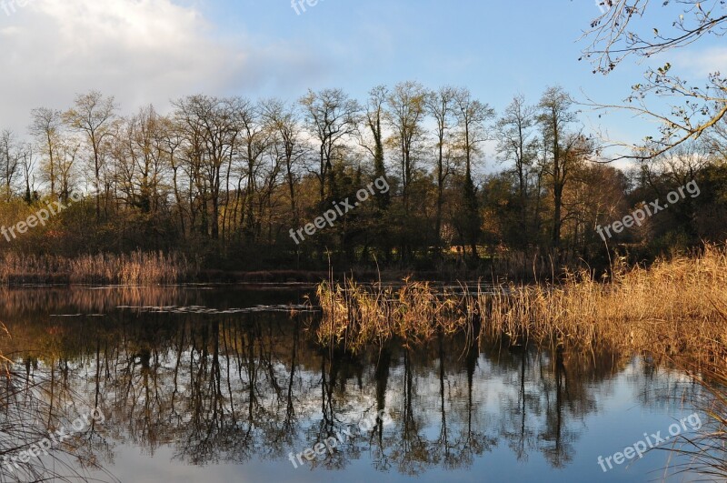 Landscape Nature Relaxation Meditation Autumn