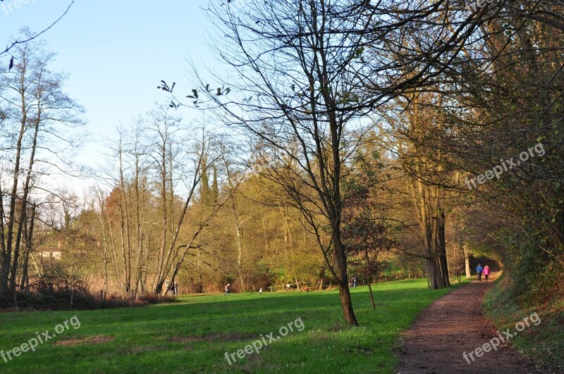 Park Nature Outdoors Trees Landscape