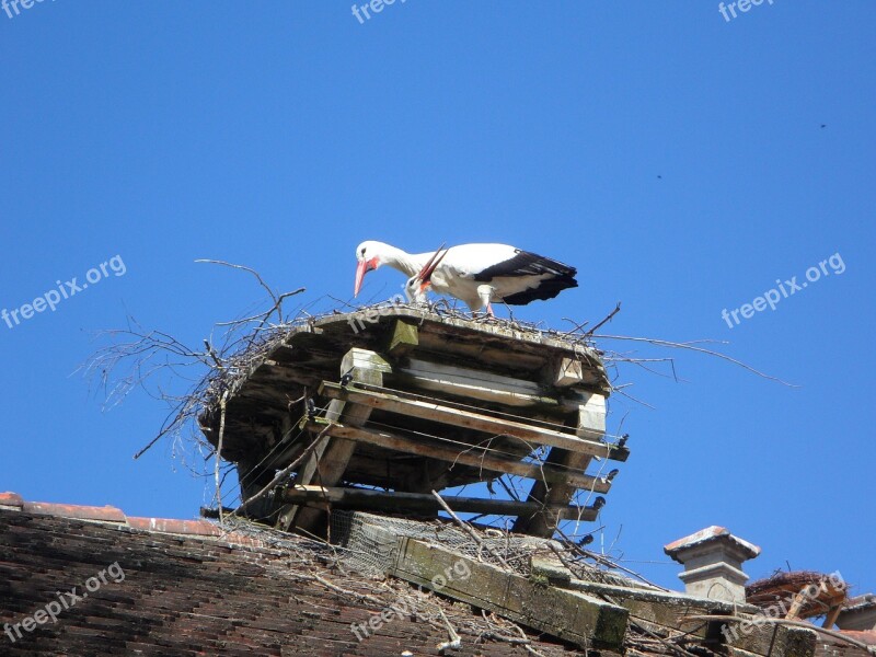 Stork Rattle Stork Rattle Storks Pair