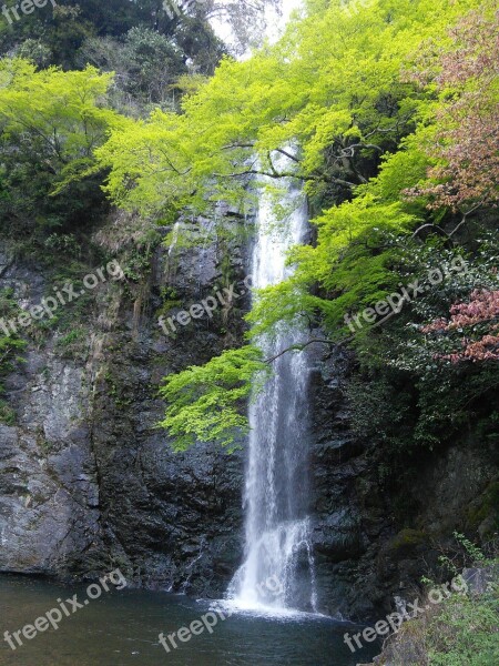 Waterfall Minoo Minoh Waterfall Fresh Green Maple