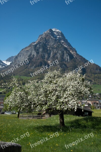 Glarus Glärnisch Mountains Switzerland Front Glärnisch