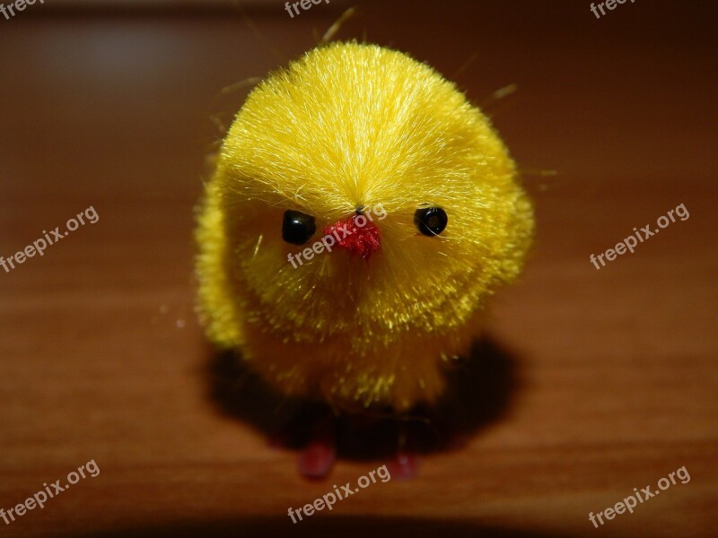 Chicken Chick Ornament Free Photos