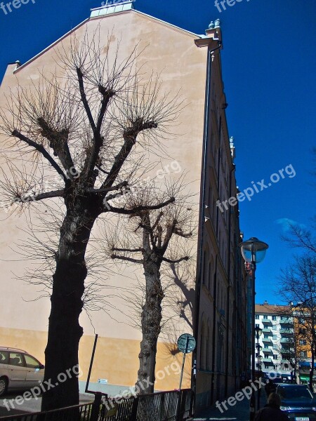 Facade Tree Shade Mariatorget Stockholm Free Photos